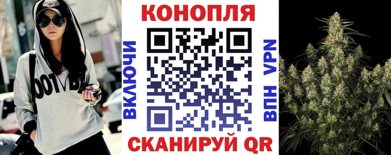 Где продают наркотики Гатчина мега как войти  Меф  Каннабис  APVP 