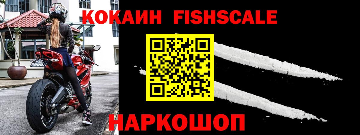 Cocaine Fish Scale  как найти закладки  Гатчина  КОКАИН 97%  Вход с VPN 