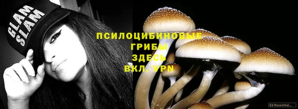 дурь Арсеньев