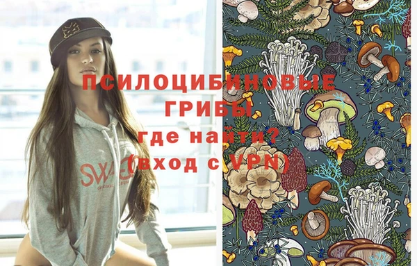 дмт Армянск
