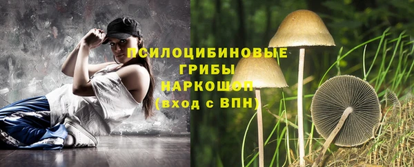 дурь Арсеньев