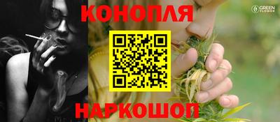 бошки Гай