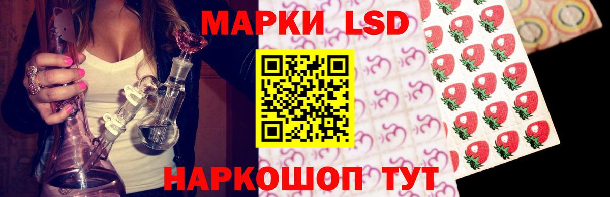 блэк спрут ТОР  Лсд 25 экстази ecstasy  Гатчина  Вход с VPN  Лсд 25 экстази ecstasy 