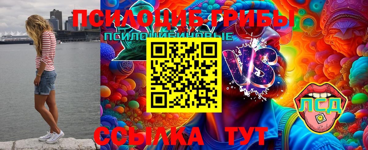 Гатчина  Галлюциногенные грибы Psilocybe  Вход с VPN 