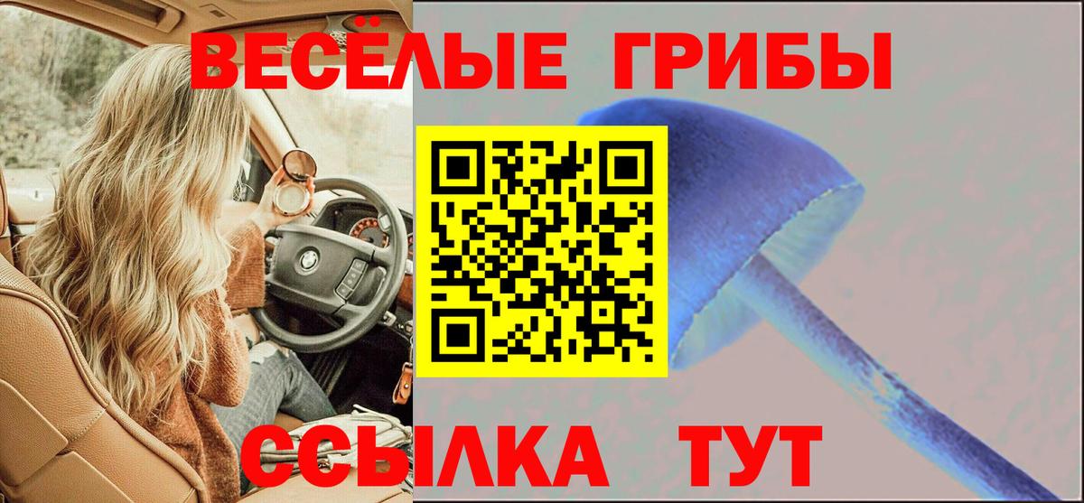 Псилоцибиновые грибы GOLDEN TEACHER  Псилоцибиновые грибы GOLDEN TEACHER  Гатчина 