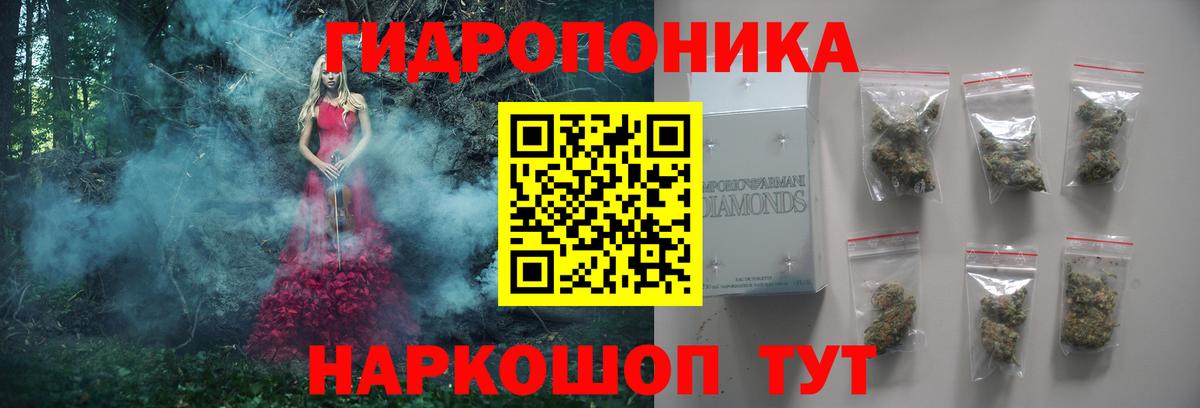 Шишки марихуана планчик Гатчина